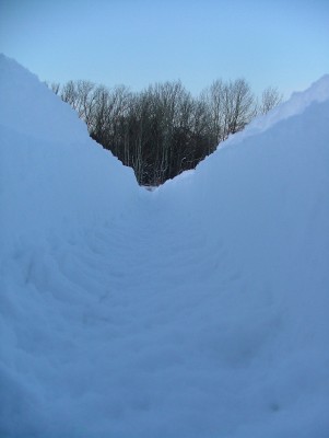 DSCF9544a.jpg