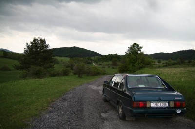 IMG_3983.JPG