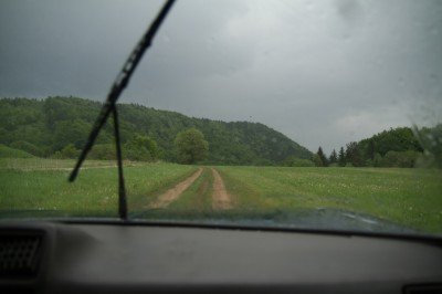 IMG_3990.JPG