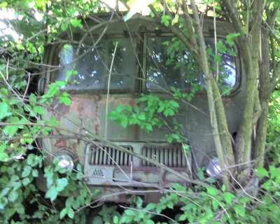 img405.jpg