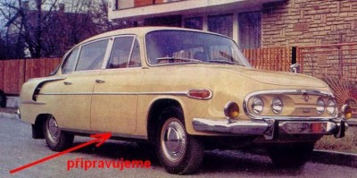 T613_listy_dolni.jpg