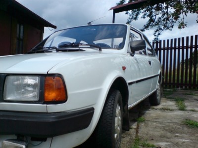 rapid1.jpg