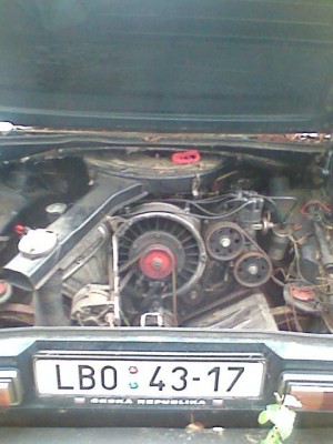 Moje tatra- motor.JPG