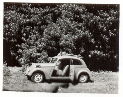sejmout0002.jpg
