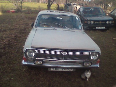 Volga předek.jpg