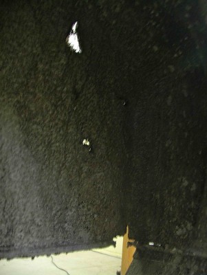DSCF6762.jpg