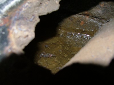 DSCF6782.jpg