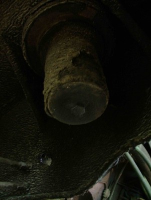 DSCF6788.jpg