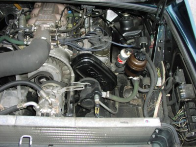P1010055.JPG