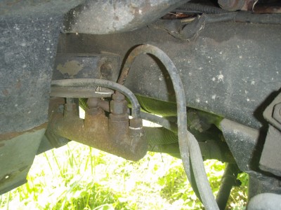 P6192453zm.JPG