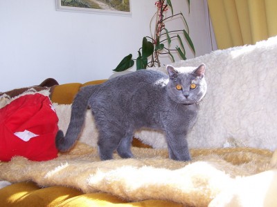 100_7642.jpg
