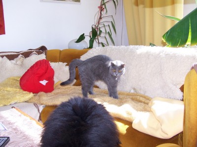 100_7641.jpg