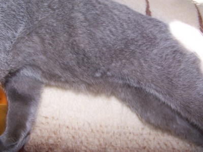 100_7640.jpg