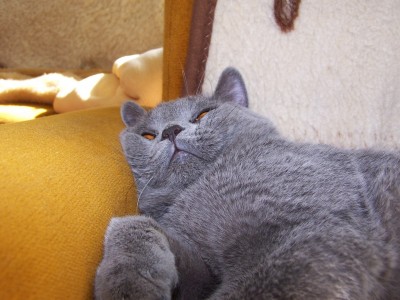100_7639.jpg