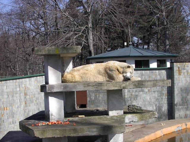 PICT0074.JPG