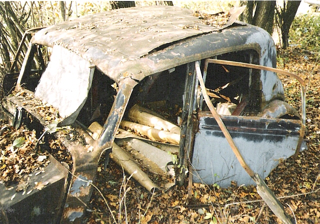 Tatra v lese 2.jpg