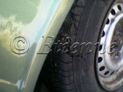 Image (4)wtmk.jpg