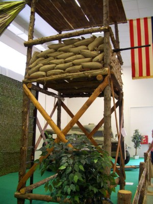 CIMG6370.jpg