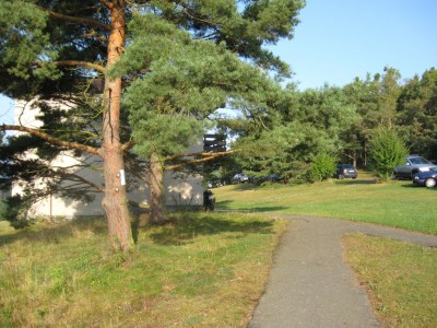 IMG_4343.JPG