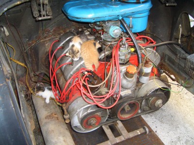 CIMG8326.jpg