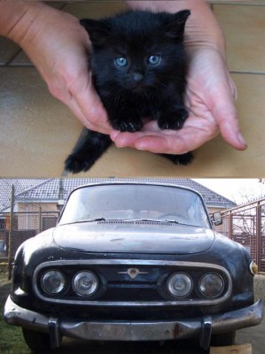 tatra vs kocka.jpg