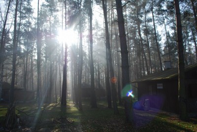 DSC_5593.jpg