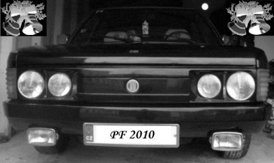 PF2010.JPG