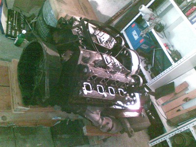 10082009(005).jpg