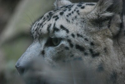 DSC_0962.jpg