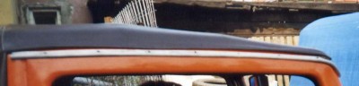 okapnička oranž.JPG
