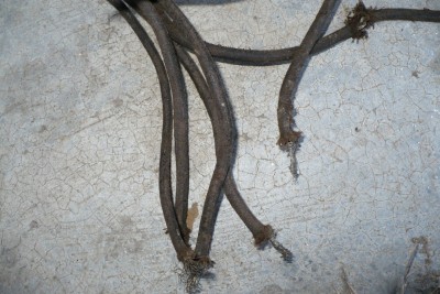 l2.jpg