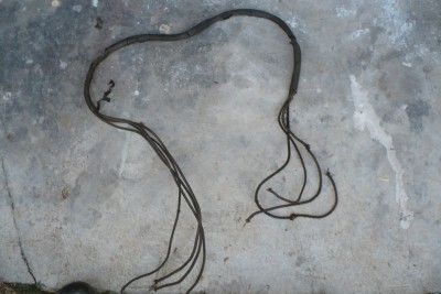 l3.jpg