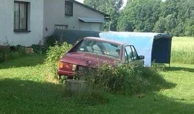 tatra v trave.jpg (37.8 KiB) 45620 zobrazení tatra v trave.jpg