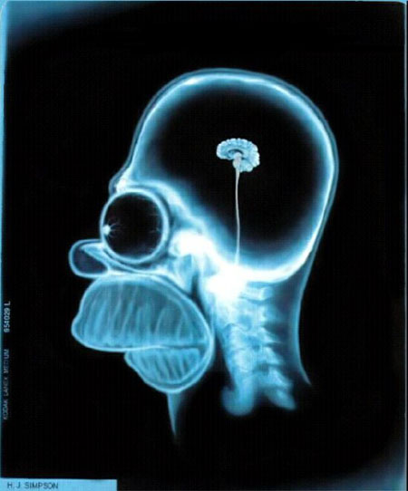 homer simpson.jpg