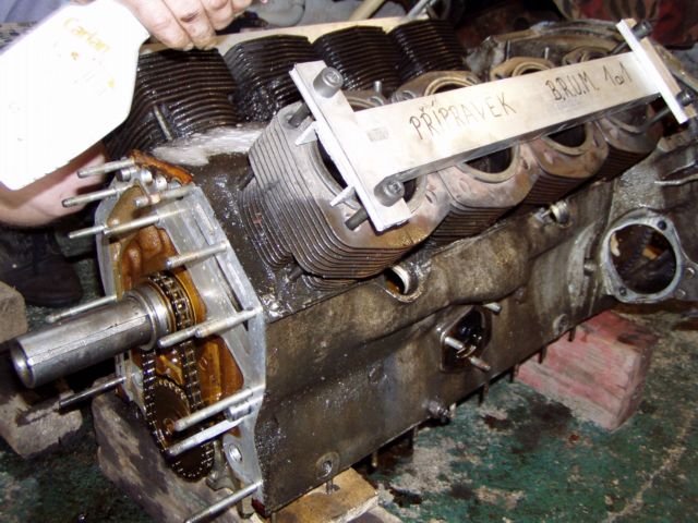 P8015065_brtnik_mot_1.jpg