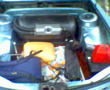 trojka_041123_141825.jpg