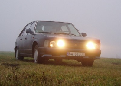 311206b.JPG