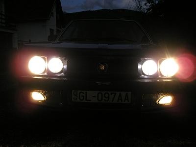 nocna krasa.JPG