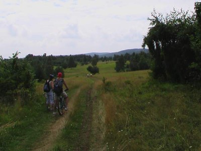 IMGA0374.JPG