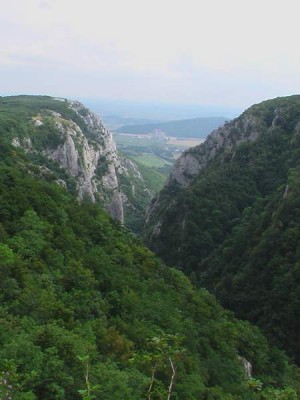 IMGA0390.JPG