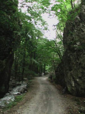 IMGA0413.JPG